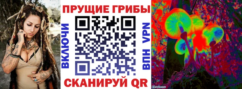 blacksprut рабочий сайт  Льгов  Псилоцибиновые грибы мицелий 